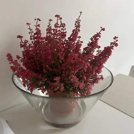 Northern Lights Small A At Emmas Street 28, Apartman Riga